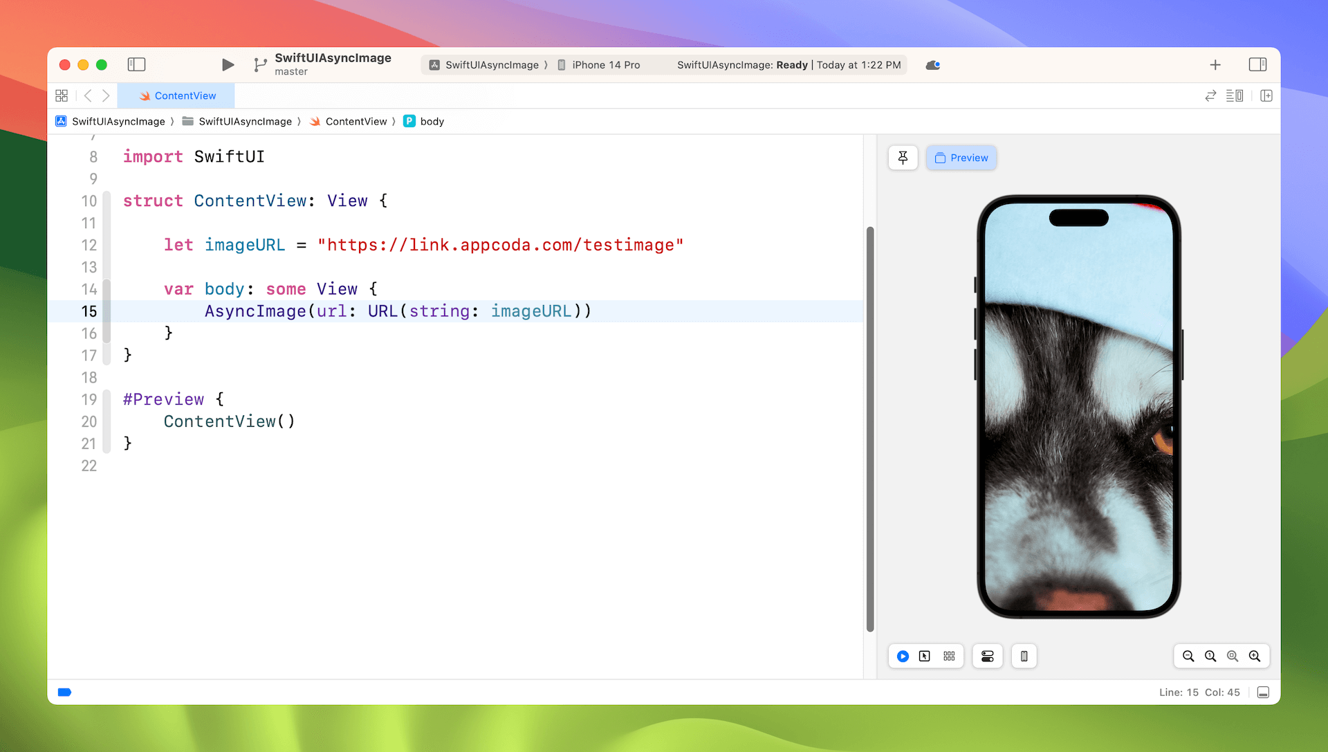 圖 36.1. 使用 AsyncImage