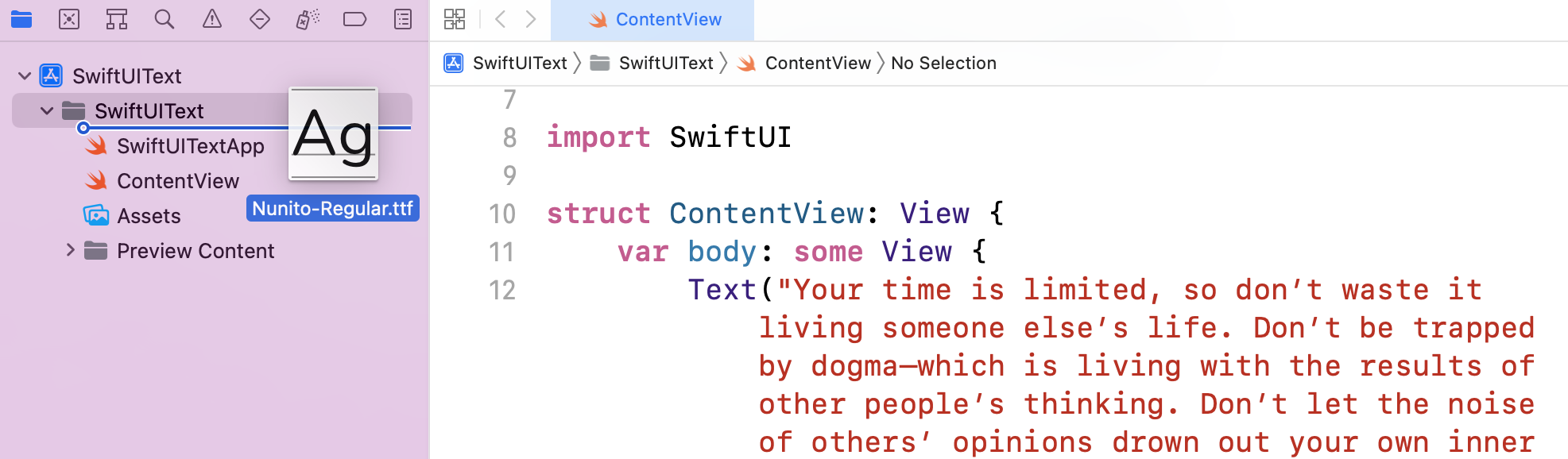 圖 15. 將字體檔加到你的 Xcode 項目中