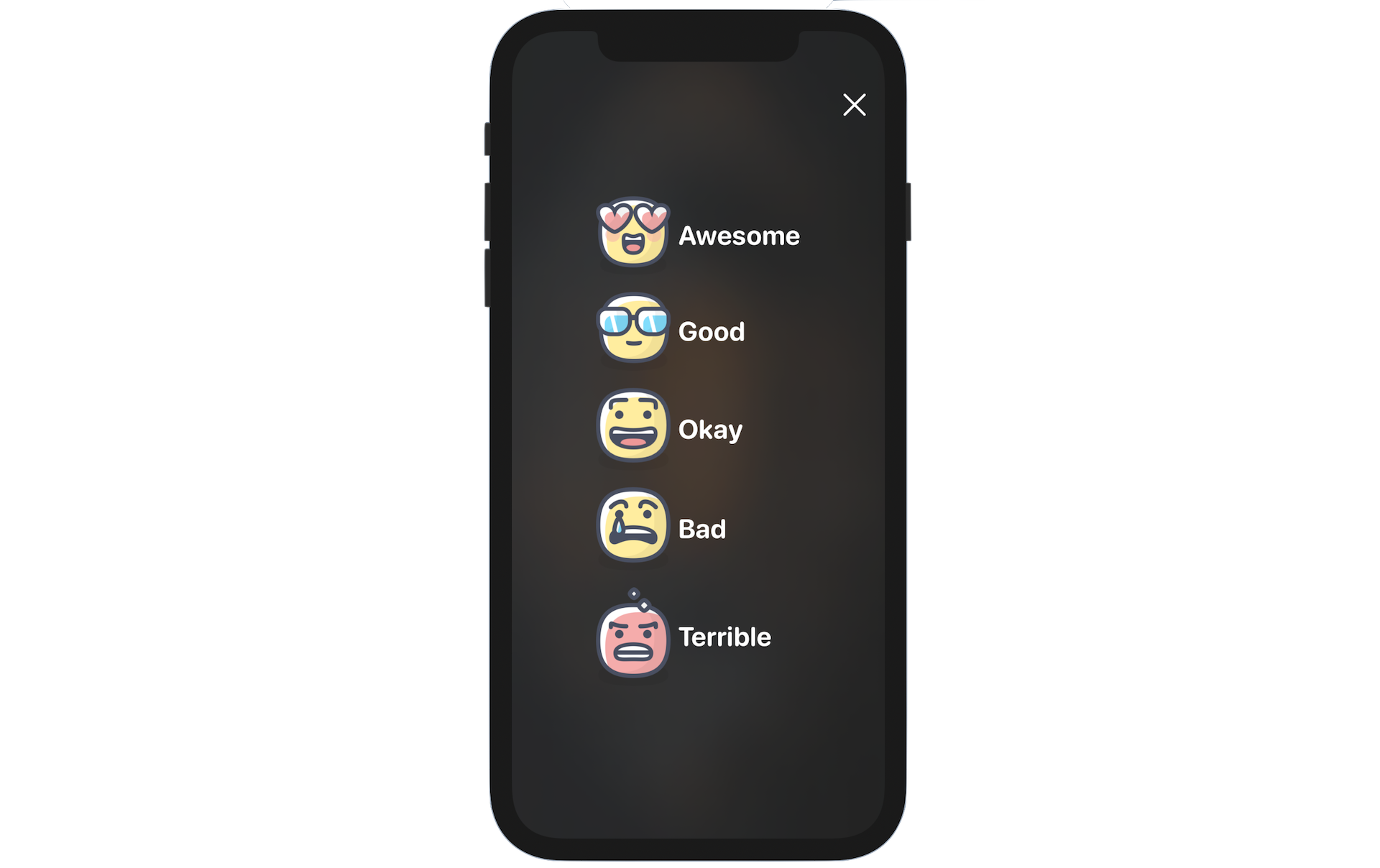 圖15.2. 評分視圖